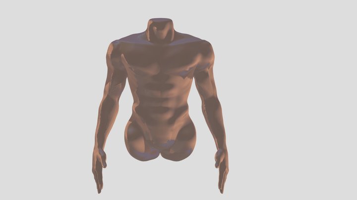 REALISTIC MALE TORSO WITH ARMS 3D Model