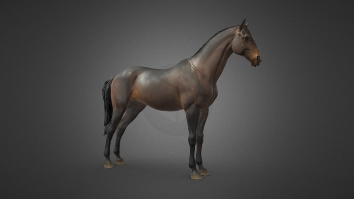 Horse | T-Pose 3D Model