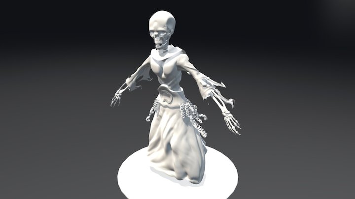 skeleton witch 3D Model