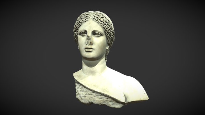 Bust of Venus 3D Model