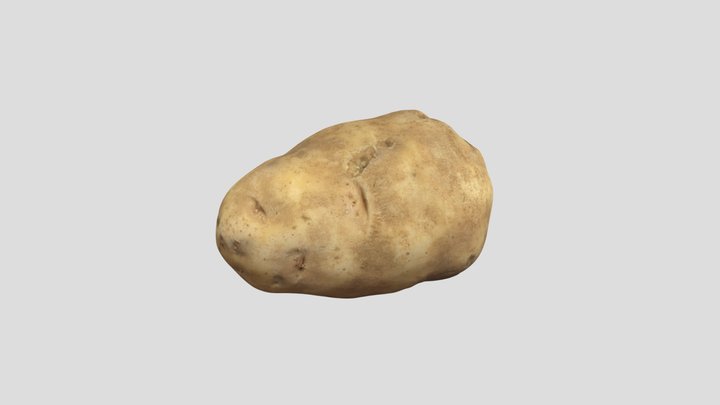 potato_1 3D Model