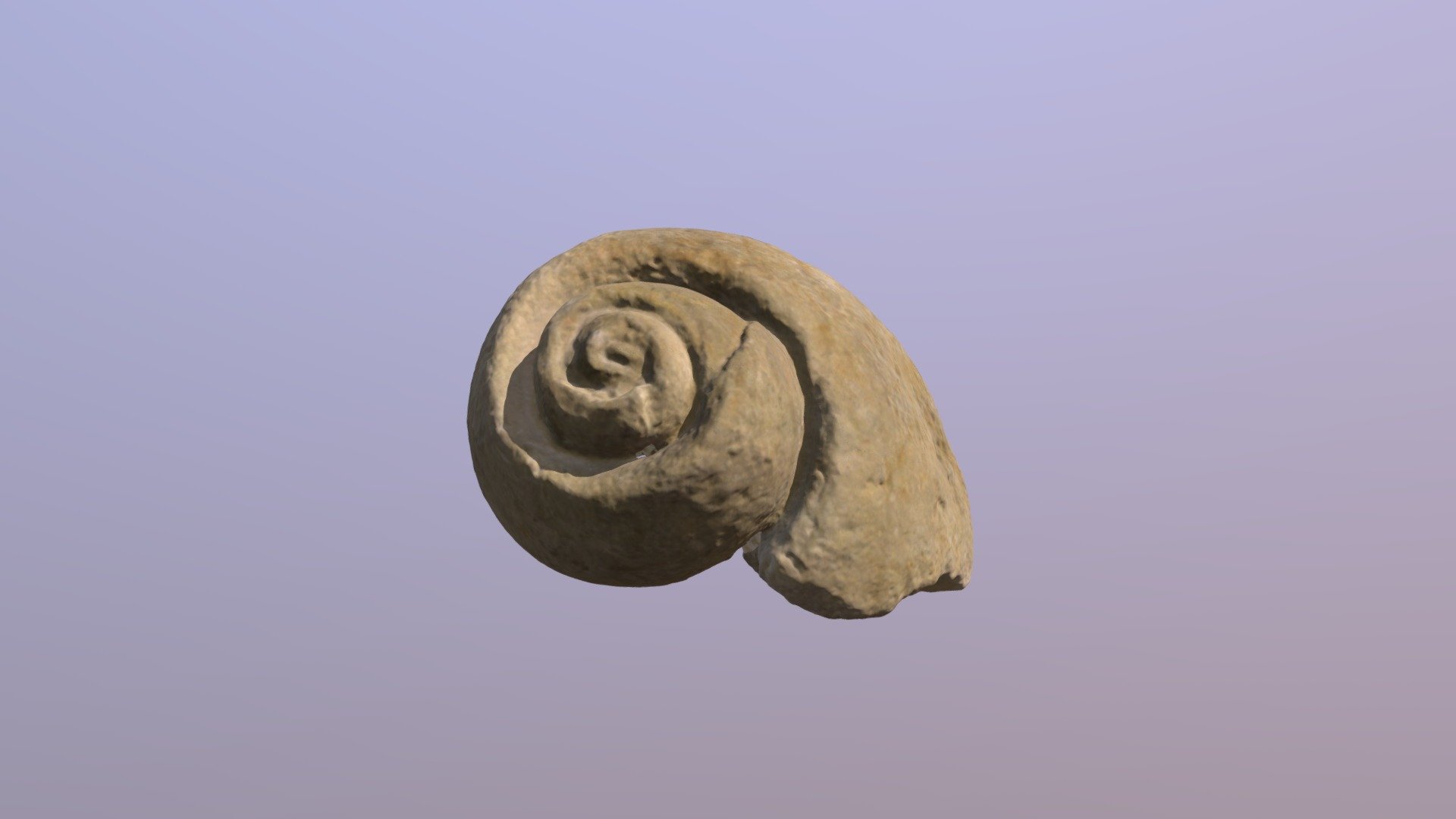 Diceras