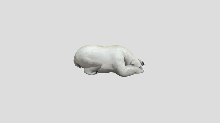 Polar_bear_055 POST HALF BEAR 3D Model
