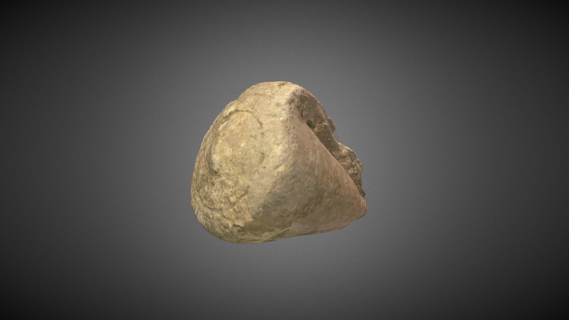 Conus Pulcher