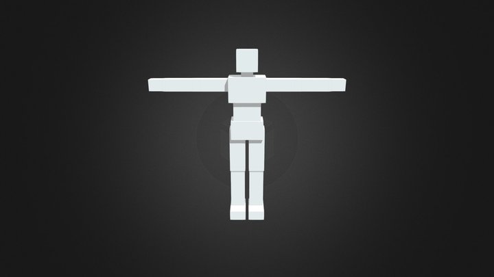 Blocky Character Template (rigged) 3D Model