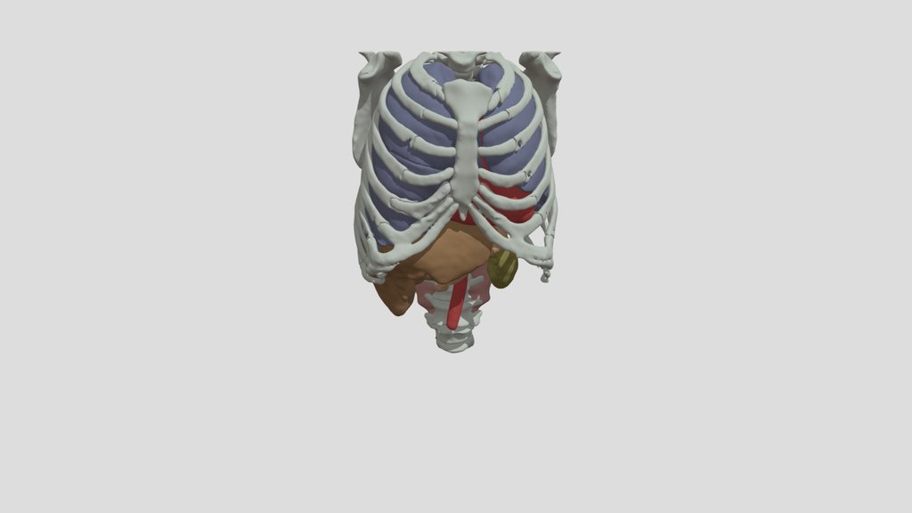Medical Digital Twin
