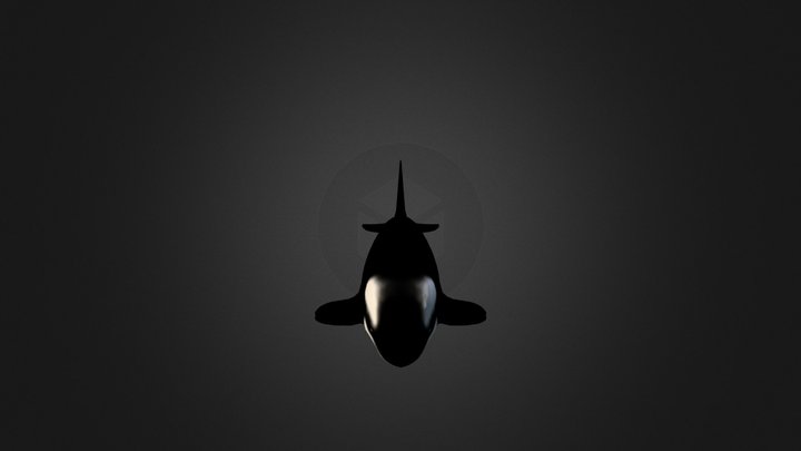 Orca 3D Model