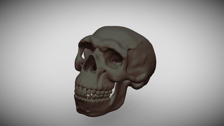 Neanderthal T-Pose Fur 3D Model $149 - .max - Free3D