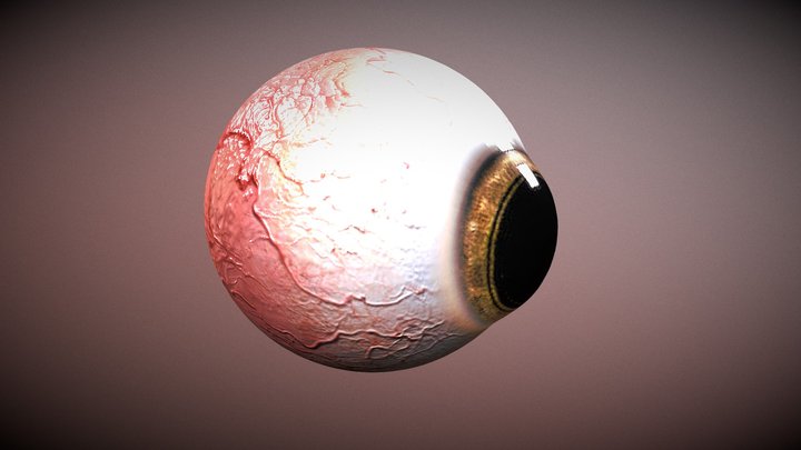 Eye 3D Model