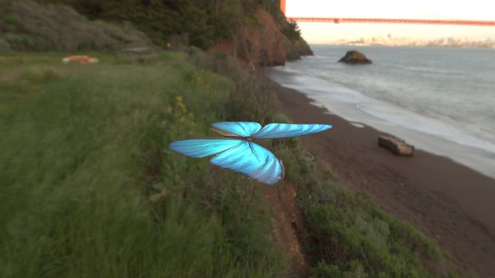 Butterfly 3D Model