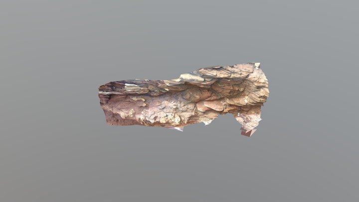 Figure 2 Sardinia Tetrapod Burrows 3D Model