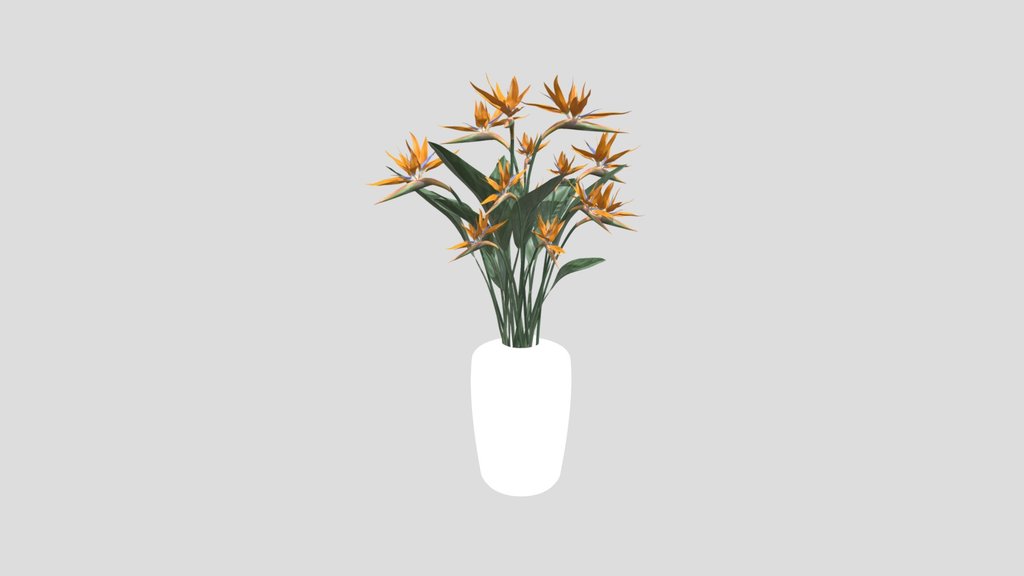 Vase Bird Of Paradise Flowers