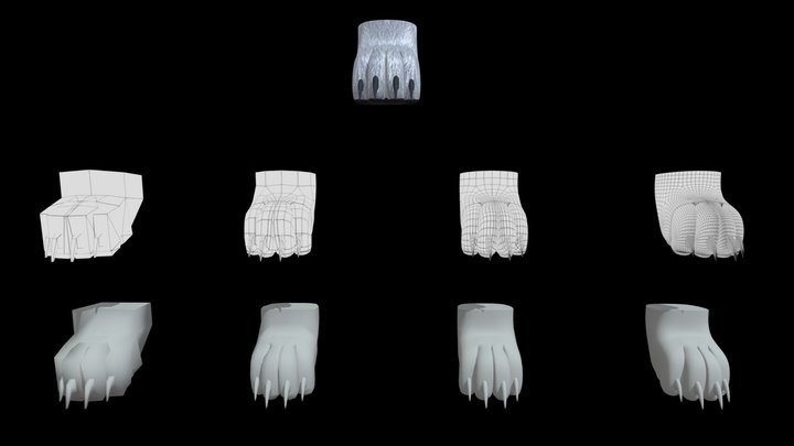 Adjustable Subdivision 4 Digit Paws Textured Rig 3D Model