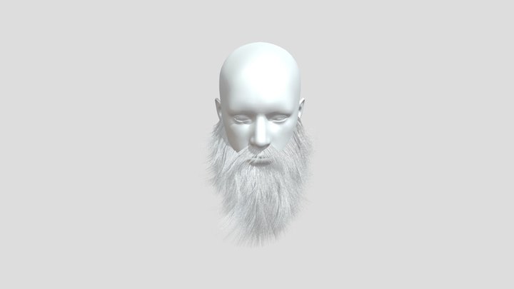 Biker Beard 3D Model