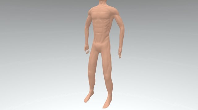 Male Anatomy Study 3D Model