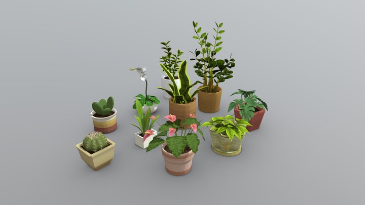 Lowpoly Indoor Plant Pack 3D Model
