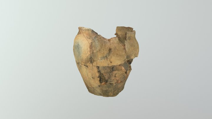 Naczynie wczesnośredniowieczne - Leszno 3D Model