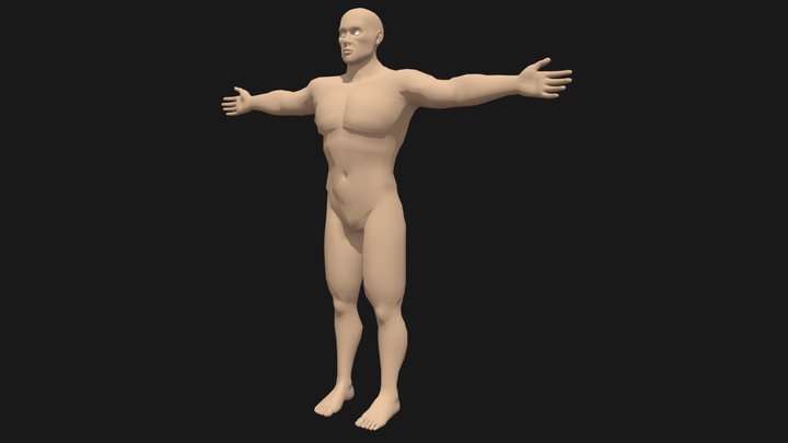 Human Body Base Mesh Male 3D Model