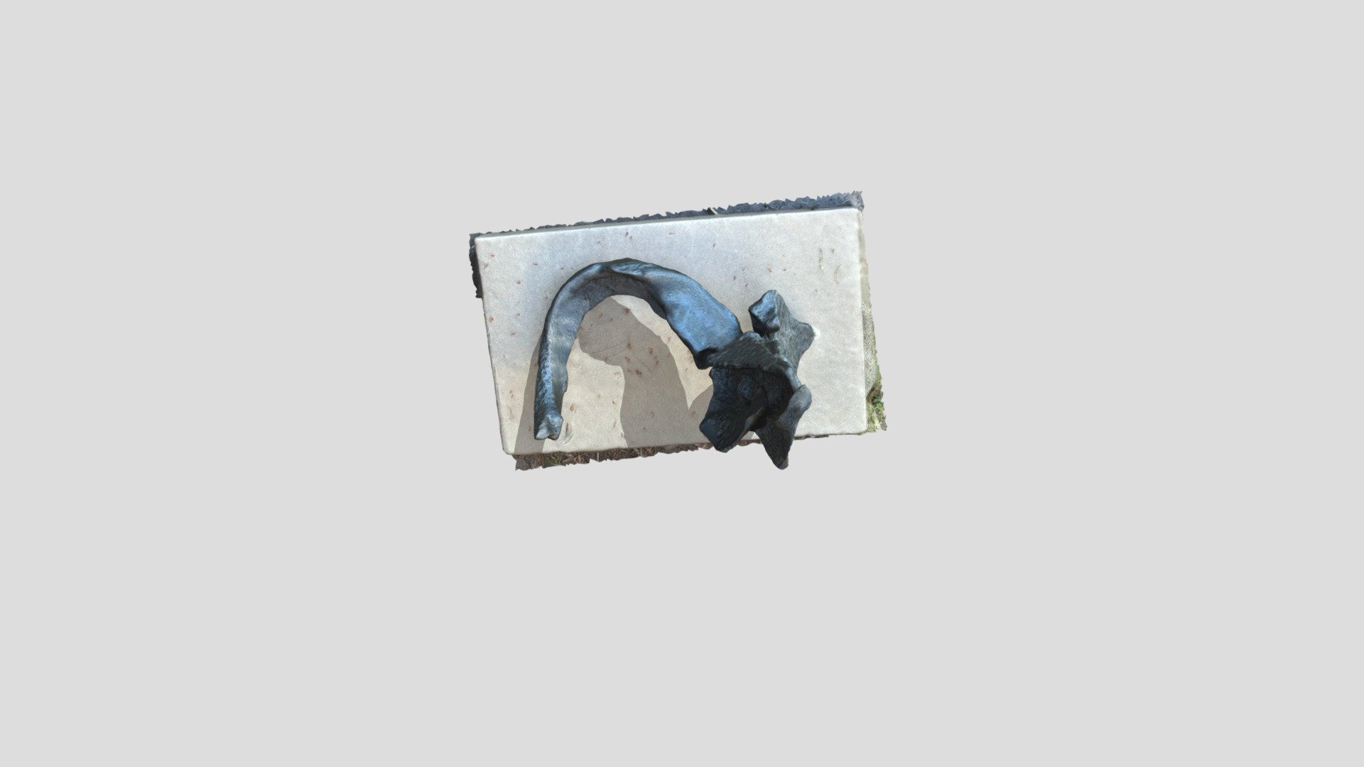 DMA160 - Sculpture Garden Photogrammetry