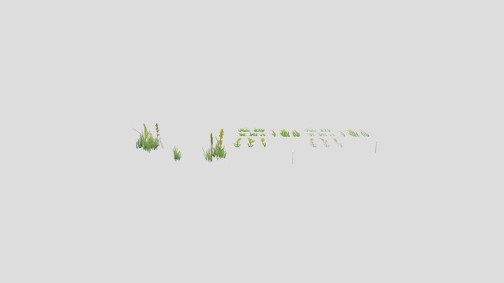 plants 3D Model