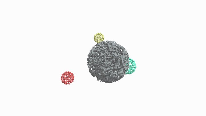 Kohlenstoffpartikel mit funktionellen Gruppen 3D Model