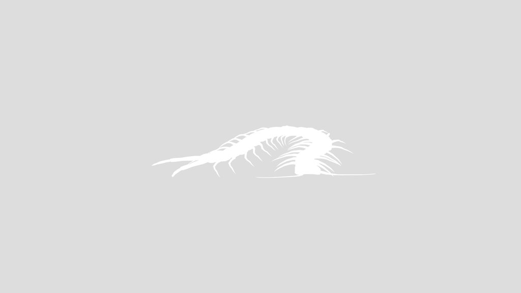 Centipede