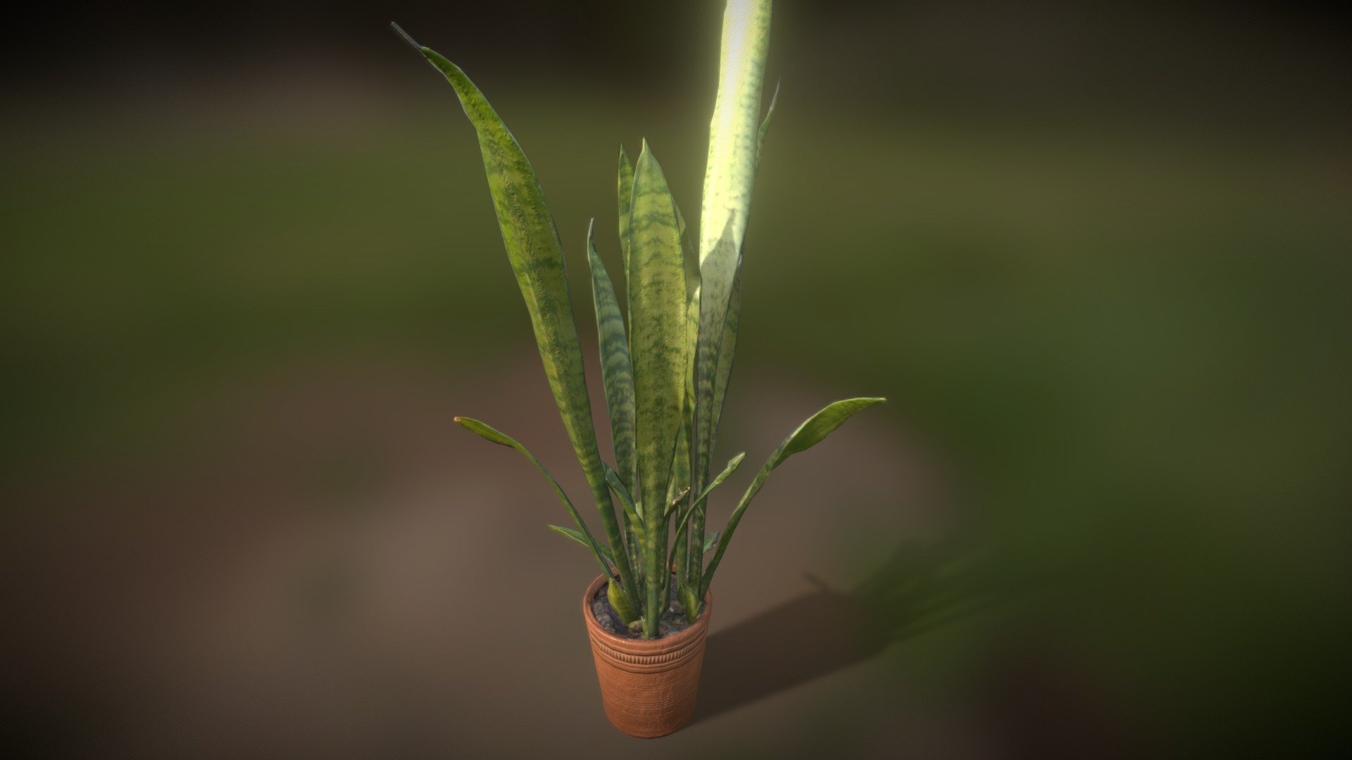 Potted Plant - Download Free 3D Model By MikeW (@wta) [3681d71] - Sketchfab