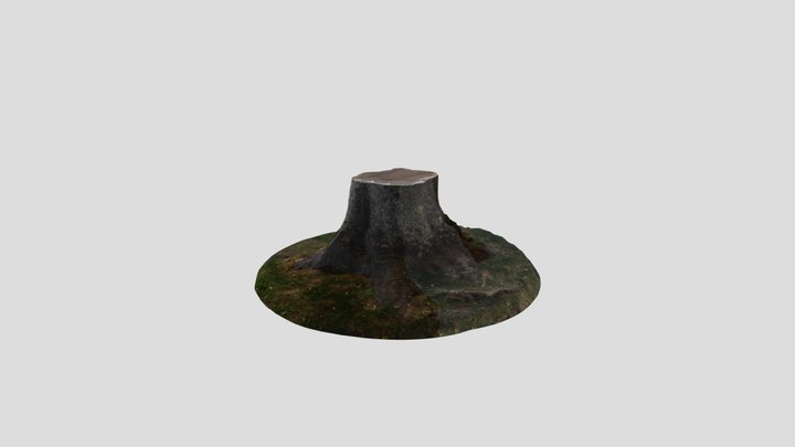 Tree Stump