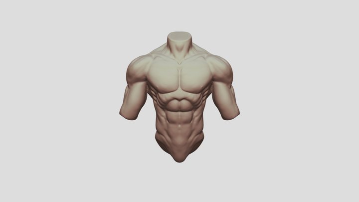 Male Torso Stylized 3D Model