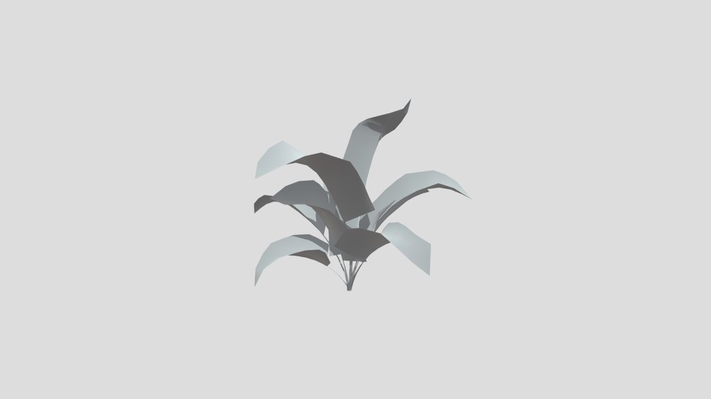Small Palm Med