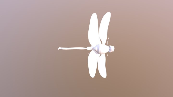 חרק מצוי 3D Model