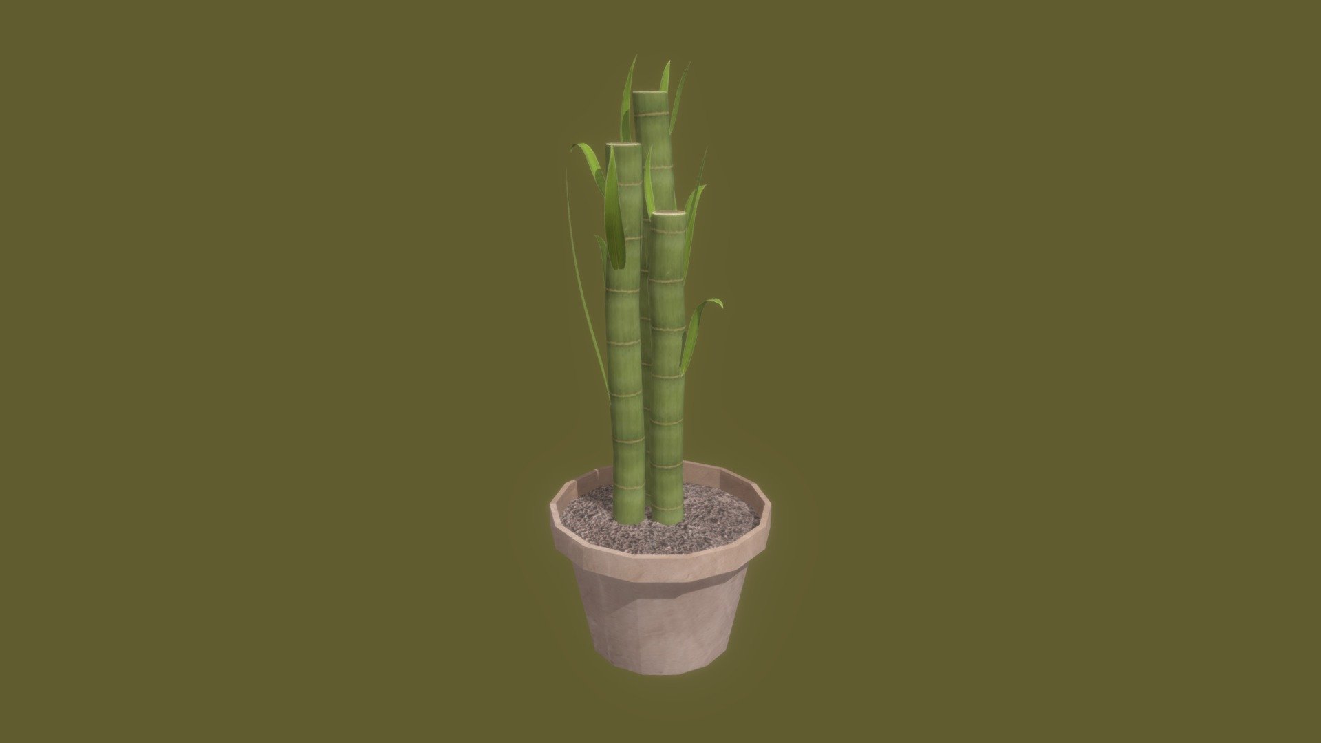 plant