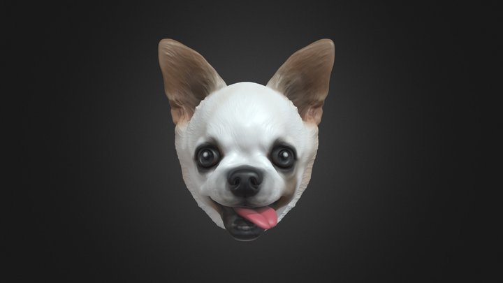 138,047 Chihuahua Images, Stock Photos, 3D objects, & Vectors