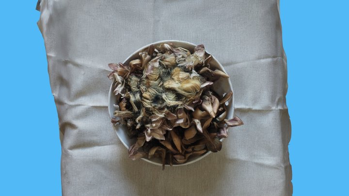 artichoke 3D Model