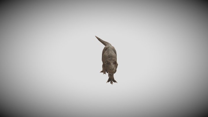 TRex 3D Model
