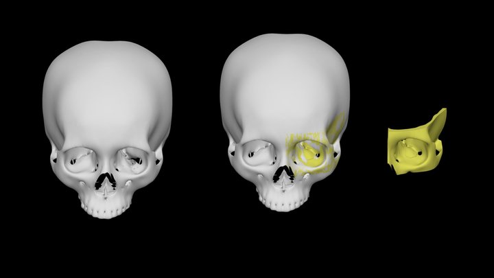 0904 3D Model
