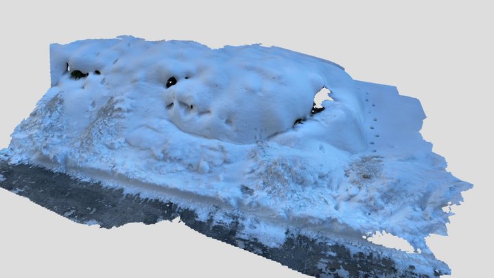 snow_road_03 3D Model