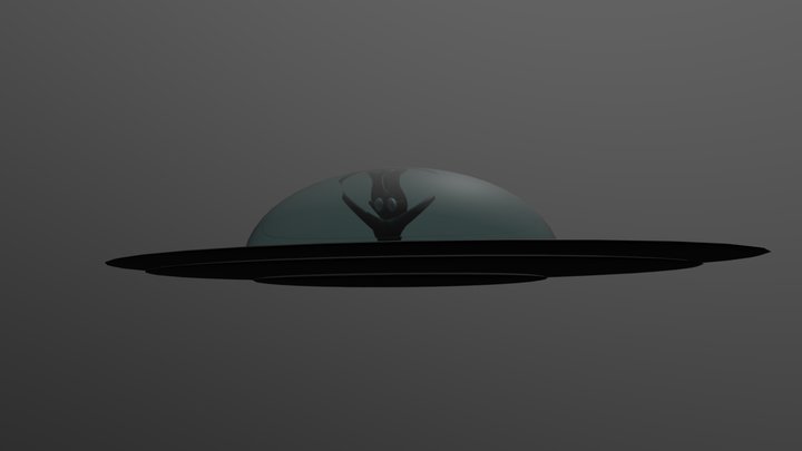 true spaceship 3D Model