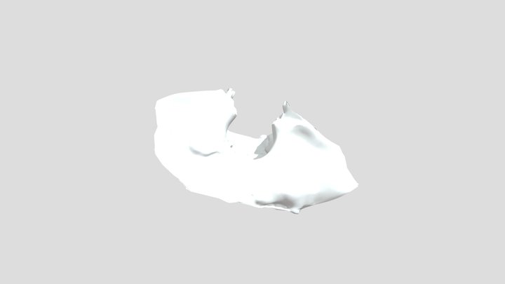 face scan 3D Model