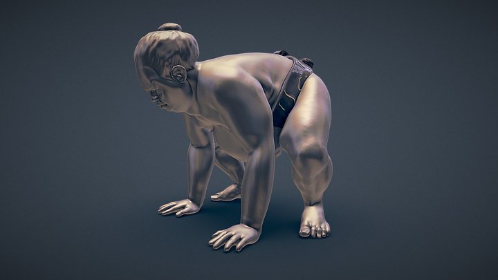 Sumo 3D Model