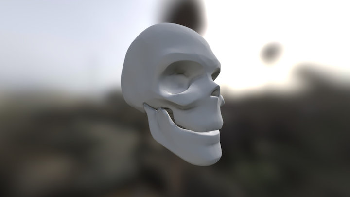 Skull1 3D Model