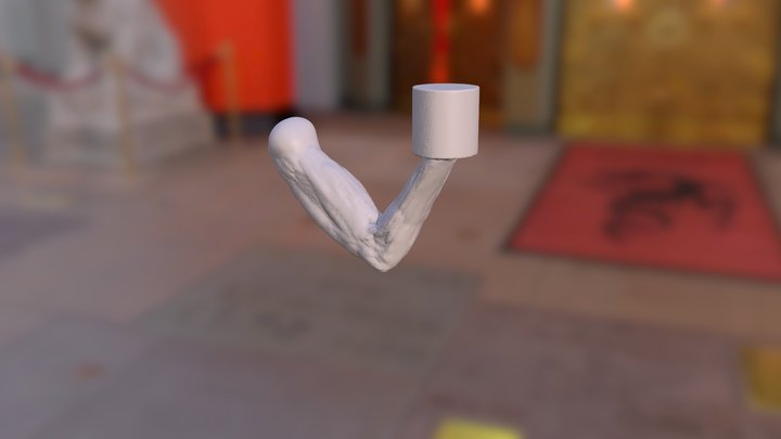Flexing Arm 3D Model