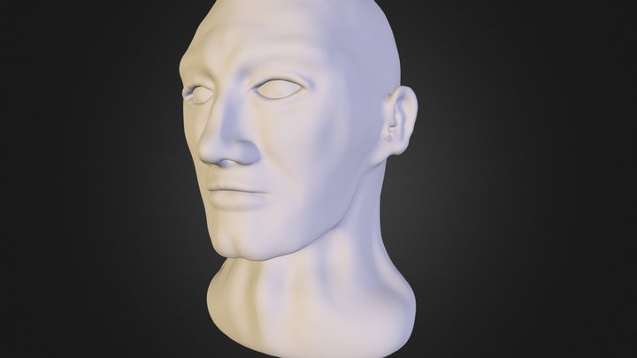 Human Head 3D Model