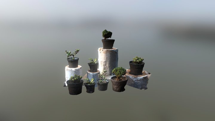 Scanned Plants 3D Model