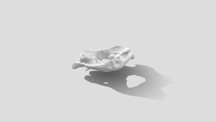 Atlas - C1 vertebra 3D Model