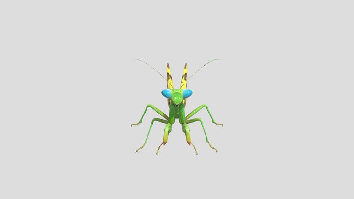 Mantis Elegance 3D Model