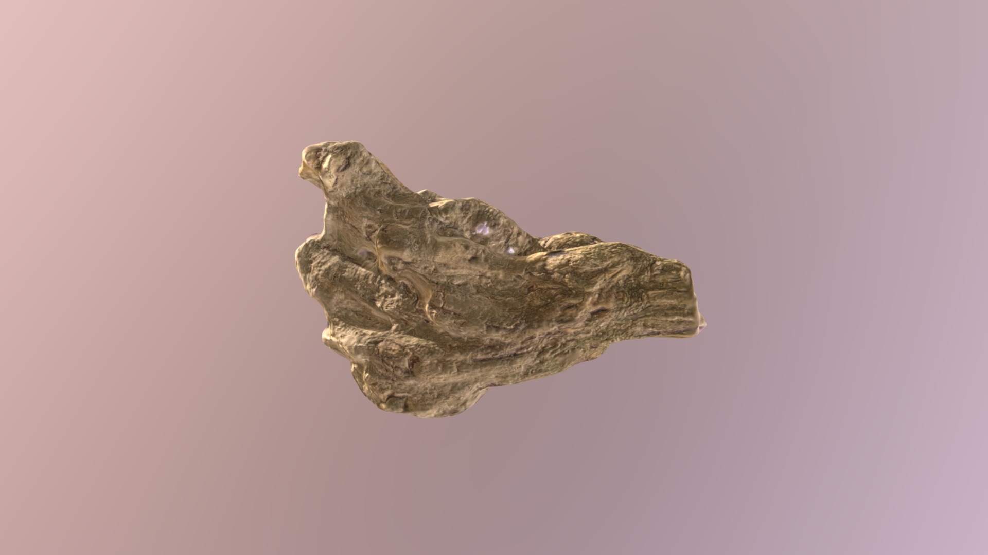 3D model Tree Bark - This is a 3D model of the Tree Bark. The 3D model is about a stone with a face on it.