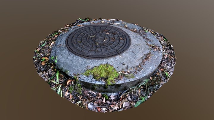 Manhole 3D Model