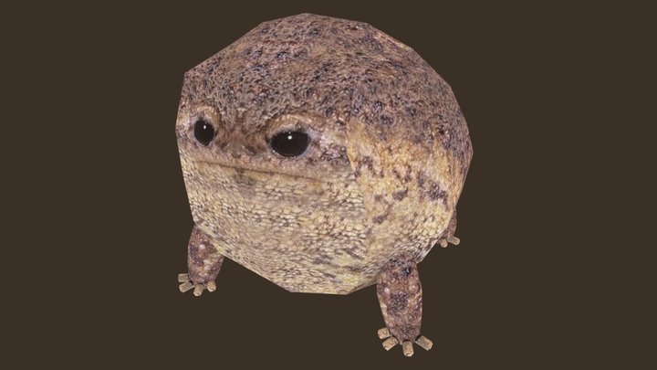 Cute Little Frog 3D Model