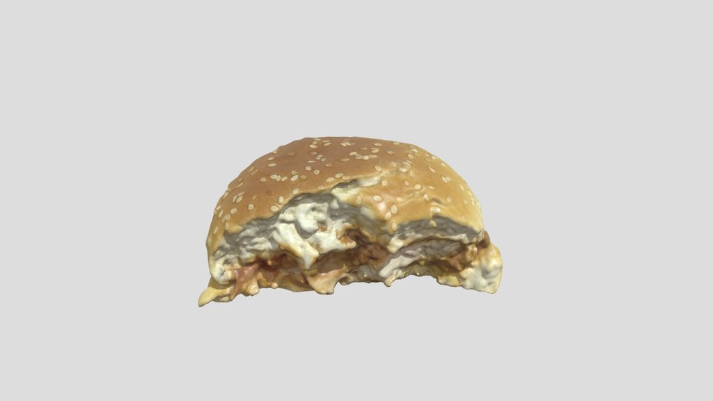 Bitten Sloppy Joe Burger